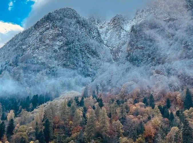 Les Moutons De - Garage Prive *